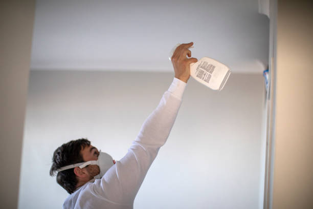 Best Mold Removal Near Me  in Wolcott, IN