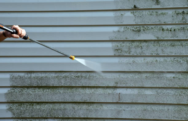 Best Certified Mold Removal  in Wolcott, IN