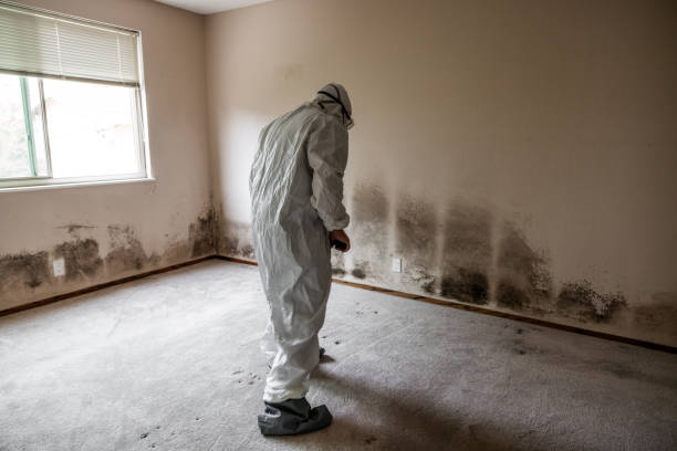 Crawl Space Mold Removal in Wolcott, IN